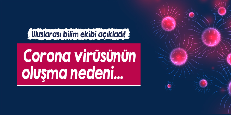 Uluslarası bilim ekibi açıkladı! Corona virüsünün oluşma nedeni...