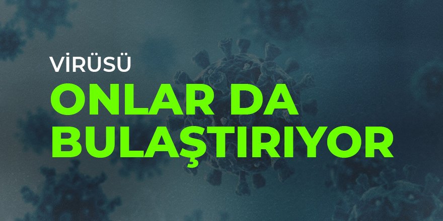 Kimse ihtimal vermiyordu ama sonunda bu da oldu: Onlar da korona virüsü bulaştırıyor