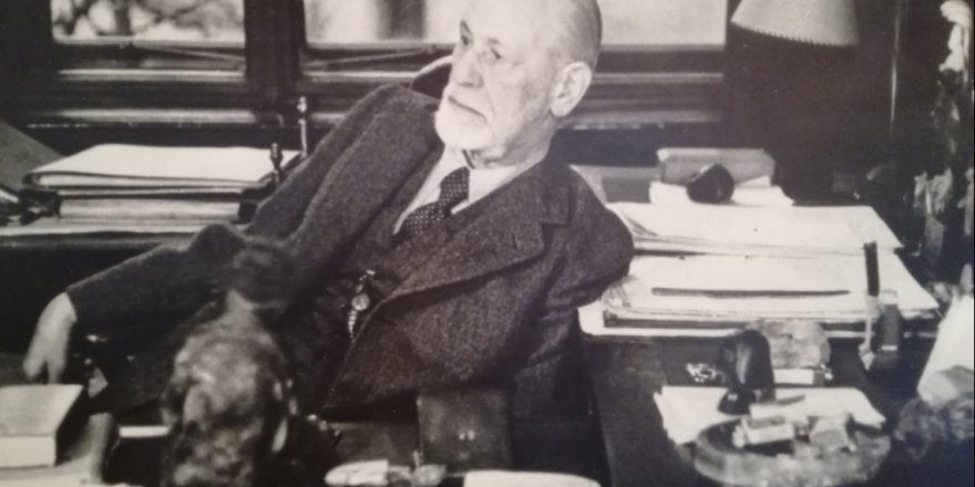 Sigmund Freud'un Bilinmeyen Yönleri