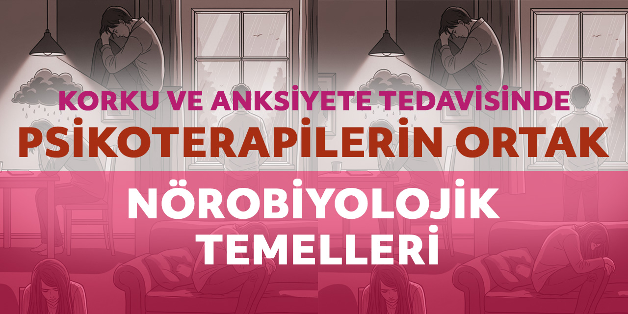 Korku ve Anksiyete Tedavisinde Psikoterapilerin Ortak Nörobiyolojik Temelleri