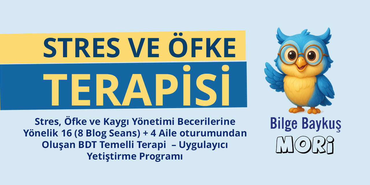 Stres ve Öfke Terapisi Eğitimi - Uygulayıcı Yetiştirme Programı