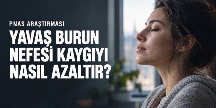 Yavaş Burun Nefesi Kaygıyı Nasıl Azaltır?
