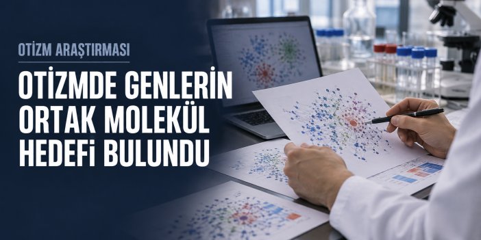 Otizmde Genlerin Ortak Molekül Hedefi Bulundu