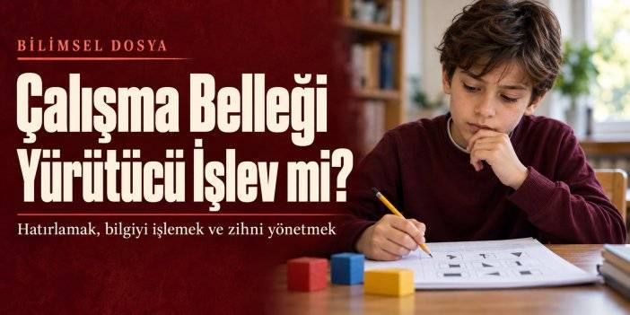 Çalışma Belleği Yürütücü İşlev mi?
