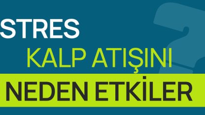 Stres Altındayken Neden Kalp Atışımız Artar?