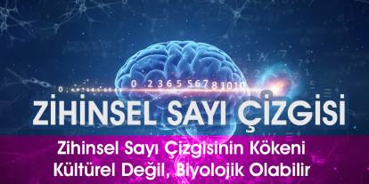 Zihinsel Sayı Çizgisinin Kökeni Kültürel Değil, Biyolojik Olabilir
