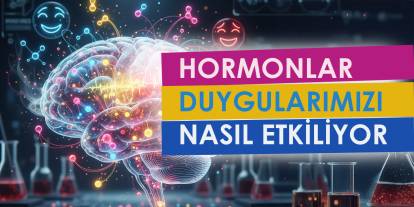 Hormonlar: Duygularımızı Nasıl Yönetiyor?