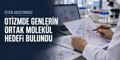 Otizmde Genlerin Ortak Molekül Hedefi Bulundu