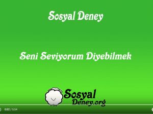 Sosyal Deney - Seni Seviyorum Diyebilmek